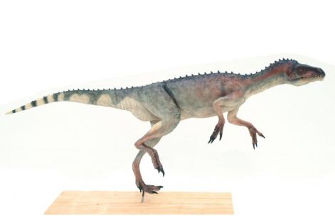 eoraptor046.jpg
