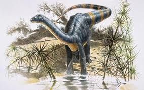 magyarosaurus.jpg